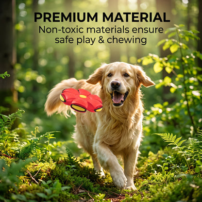 EVEREASE interactive transforming red flying disc toy being caught by a happy golden retriever in a forest