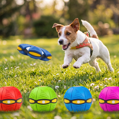 EVEREASE interactive transforming flying disc pet toy being chased by a dog in a park with four color options below.